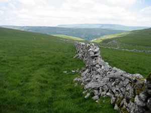 Crumbling_Wall_on_High_Cote_Moor_-_geograph.org.uk_-_1376146