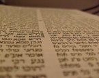 Text