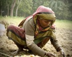 woman farming