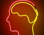 Brain