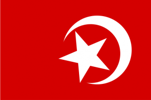 512px-Nation_of_Islam_flag