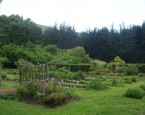 512px-Green_Gulch-20120325