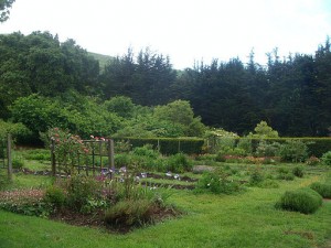 512px-Green_Gulch-20120325