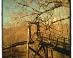 Bridge Photo_Dan Robinson