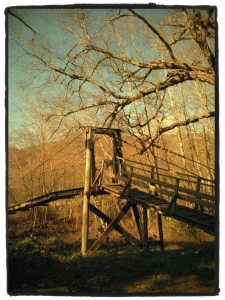 Bridge Photo_Dan Robinson