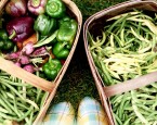 garden produce
